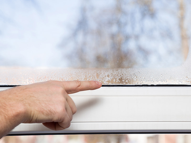 What Can You Do About High Humidity in Your House?